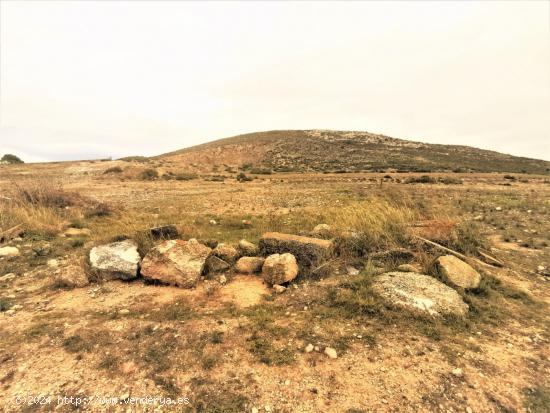 TERRENO EN CAÑADA ZONA CTRA.- CAÑADA BIAR CON CANTERA - ALICANTE