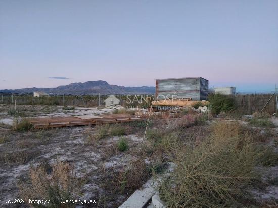 SE VENDE PARCELA CON ALBERGUE EN ZONA HUERTA MAYOR EN ASPE - ALICANTE