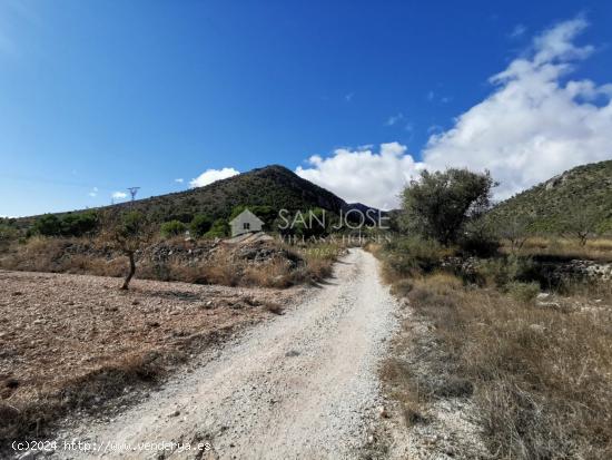 TERRENOS EN MONOVAR ZONA CAVA FRIA CERCA DE ROMANETA - ALICANTE