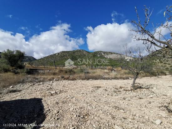 TERRENOS EN MONOVAR ZONA CAVA FRIA CERCA DE ROMANETA - ALICANTE