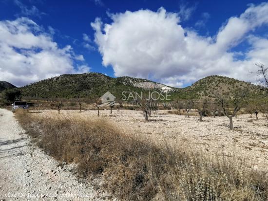 TERRENOS EN MONOVAR ZONA CAVA FRIA CERCA DE ROMANETA - ALICANTE