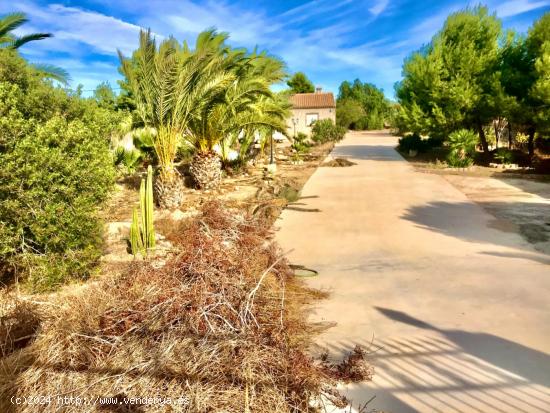  VENTA DE CHALET EN ASPE ZONA TOLOMO - ALICANTE 