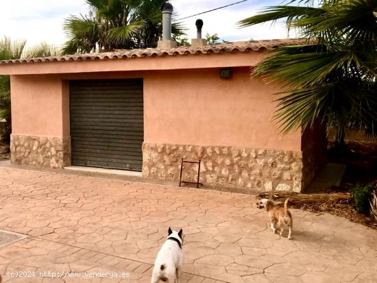 VENTA DE CHALET EN ASPE ZONA TOLOMO - ALICANTE