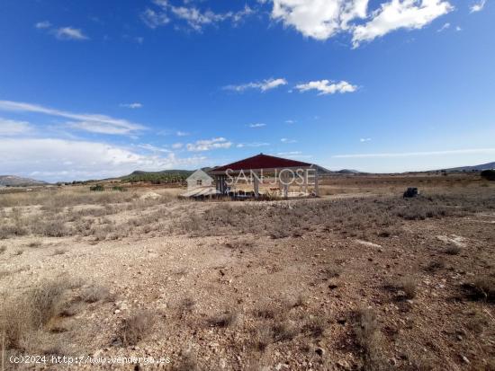 VENTA DE  PARCELA EN MONOVAR - ALICANTE