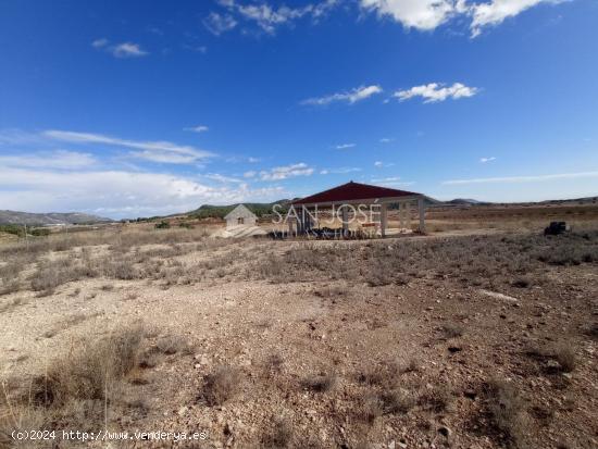 VENTA DE  PARCELA EN MONOVAR - ALICANTE