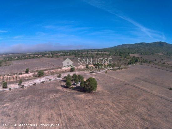 FINCA RUSTICA EN YECLA - PINOSO - MURCIA