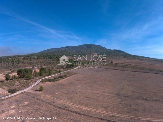 FINCA RUSTICA EN YECLA - PINOSO - MURCIA