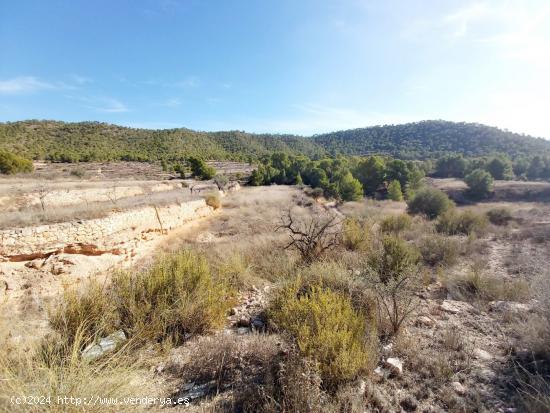 INMOBILIARIA SAN JOSE VENDE TERRENO RURAL EN MONOVAR ZONA LA ROMANETA - ALICANTE