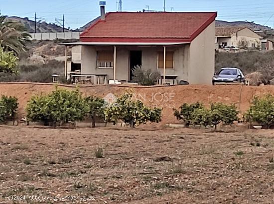 SE VENDE CHALET EN NOVELDA EN ZONA EL PLÁ. - ALICANTE