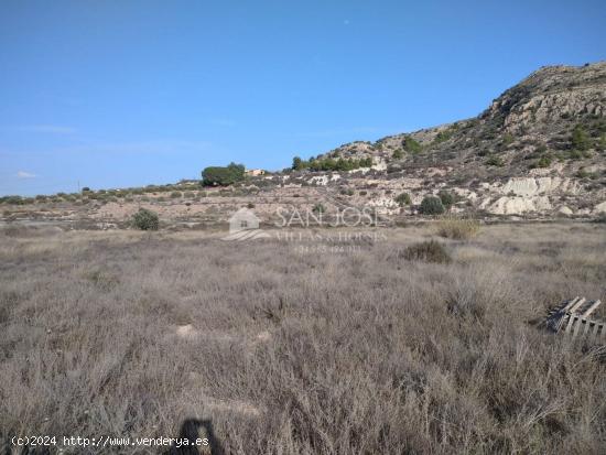 VENTA DE TERRENO EN ELCHE, ZONA BONAVISTA NORTE - ALICANTE