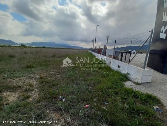 VENTA DE TERRENO EN MONÓVAR-PINOSO, ZONA MAÑA CON MUY BUENA UBICACIÓN - ALICANTE