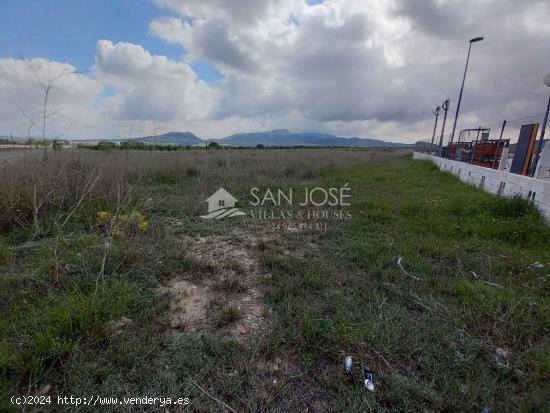 VENTA DE TERRENO EN MONÓVAR-PINOSO, ZONA MAÑA CON MUY BUENA UBICACIÓN - ALICANTE