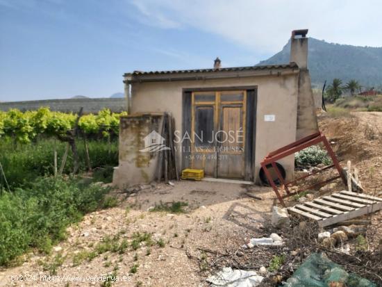 SE VENDE FINCA RUSTICA EN ASPE ZONA ALCANA CERCA DEL PEÑON - ALICANTE