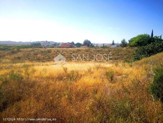 VENTA DE TERRENO RUSTICO EN LAS TORRES DE COTILLAS, ZONA SALADAR, MURCIA - MURCIA