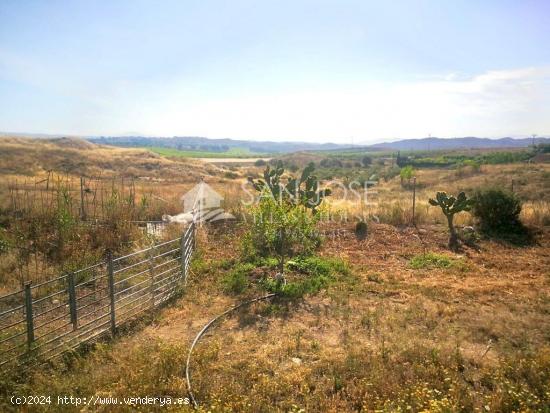 VENTA DE TERRENO RUSTICO EN LAS TORRES DE COTILLAS, ZONA SALADAR, MURCIA - MURCIA