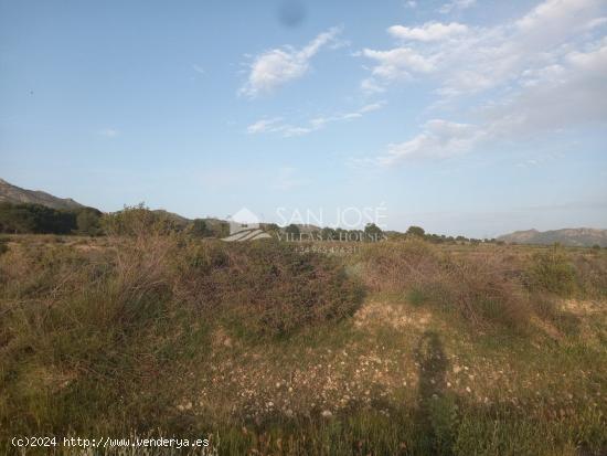 VENTA DE TERRENO RÚSTICO - AGRARIO EN SALINAS, EN PLENA SIERRA - ALICANTE