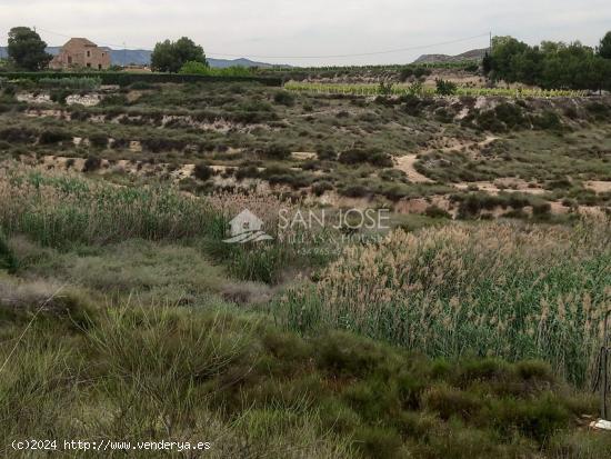 VENTA DE DE PARCELA EN NOVELDA , RÚSTICO AGRARIO DE SECANO - ALICANTE