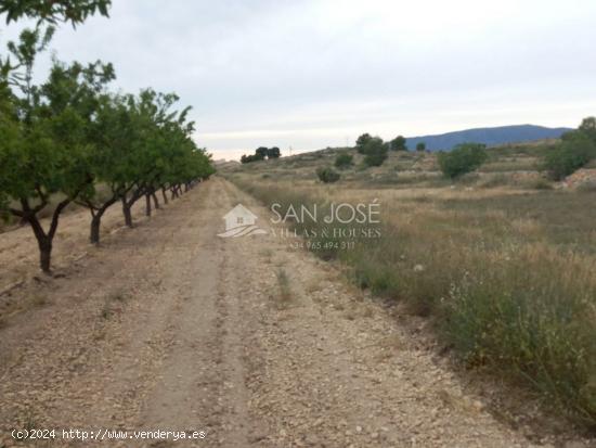 VENTA DE PARCELA RÚSTICO AGRARIO ECOLÓGICO DE REGADÍO - ALICANTE