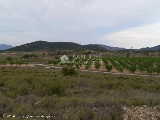 VENTA DE PARCELA RÚSTICO AGRARIO ECOLÓGICO DE REGADÍO - ALICANTE