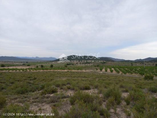 VENTA DE PARCELA RÚSTICO AGRARIO ECOLÓGICO DE REGADÍO - ALICANTE