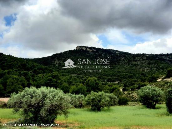 SE VENDE GRAN FINCA RUSTICA CON CASA SEÑORIAL EN MONOVAR-PARAJE LA ZAFRA - ALICANTE