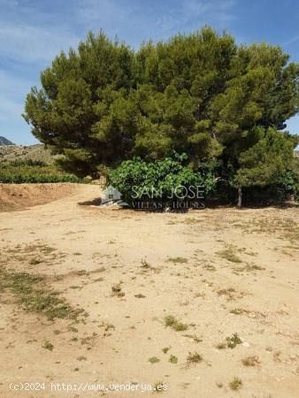 SE VENDE TERRENO EN LA ROMANA CON 14 TAULLAS EN ZONA CUEVAS DE SAN ANTON (ALICANTE) - ALICANTE