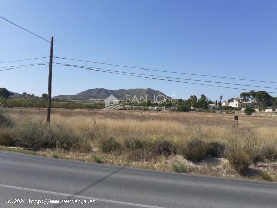 TERRENO RUSTICO EN HORNA ALTA CON PUNTO DE LUZ CERCA NOVELDA - ALICANTE