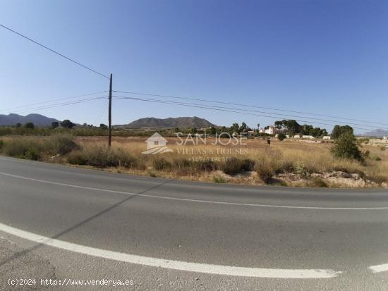 TERRENO RUSTICO EN HORNA ALTA CON PUNTO DE LUZ CERCA NOVELDA - ALICANTE