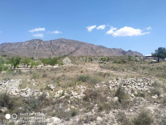 SE VENDE PARCELA EN HONDON DE LAS NIEVES - ALICANTE