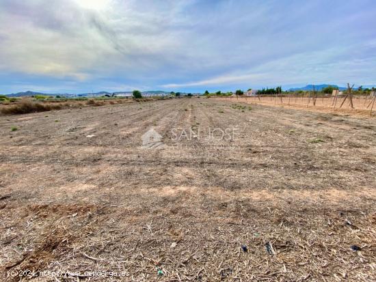  VENTA DE PARCELA EN ASPE EN LA ZONA PARAJE DE LA HORNA - ALICANTE 