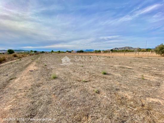 VENTA DE PARCELA EN ASPE EN LA ZONA PARAJE DE LA HORNA - ALICANTE