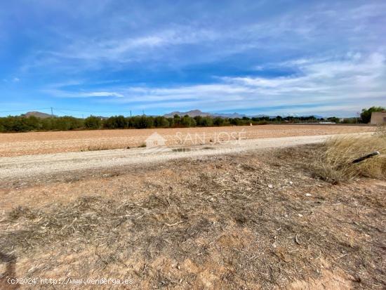 VENTA DE PARCELA EN ASPE EN LA ZONA PARAJE DE LA HORNA - ALICANTE