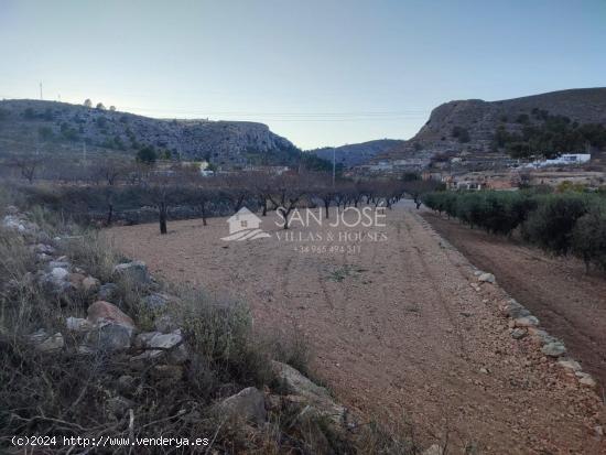 SE VENDE TERRENO EN LA ROMANA EN LA ZONA DE LAS CUEVAS DE SAN ANTON - ALICANTE