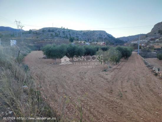 SE VENDE TERRENO EN LA ROMANA EN LA ZONA DE LAS CUEVAS DE SAN ANTON - ALICANTE