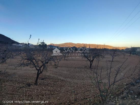 SE VENDE TERRENO EN LA ROMANA EN LA ZONA DE LAS CUEVAS DE SAN ANTON - ALICANTE