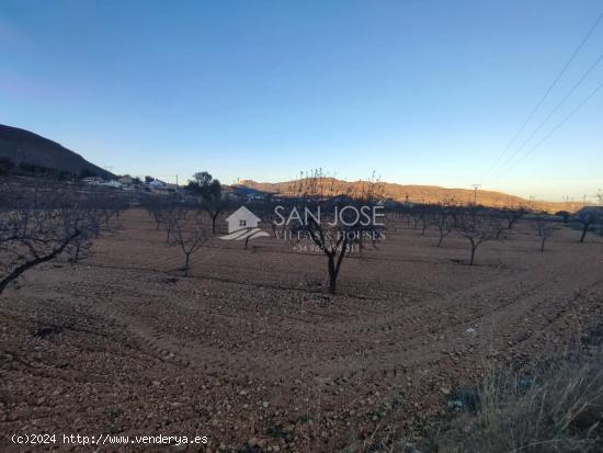 SE VENDE TERRENO EN LA ROMANA EN LA ZONA DE LAS CUEVAS DE SAN ANTON - ALICANTE