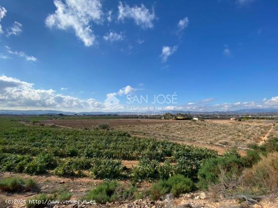 SE VENDE FINCA RUSTICA EN NOVELDA - ALICANTE