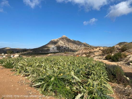 SE VENDE FINCA RUSTICA EN NOVELDA - ALICANTE