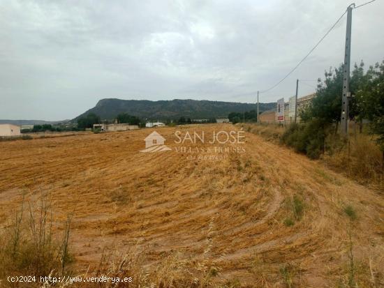 SE VENDE PARCELA RUSTICA ZONA ALCANA EN ASPE - ALICANTE