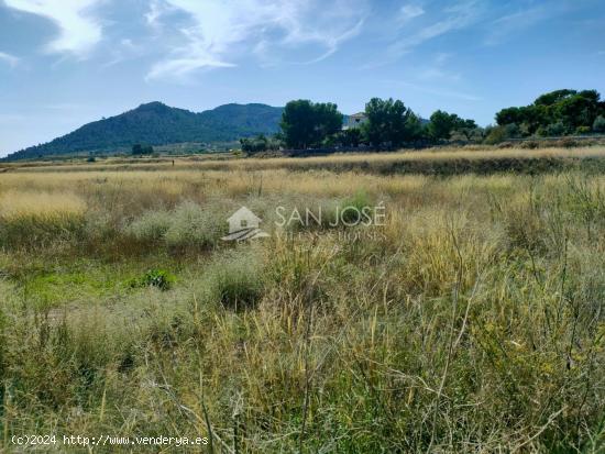 SE VENDE TERRENO RURAL CON POSIBILIDAD DE ALBERGUE EN LA ROMANA - ALICANTE