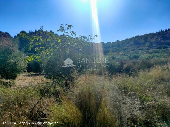 SE VENDE PARCELA RURAL EN ASPE ZONA TRES HERMANAS - ALICANTE