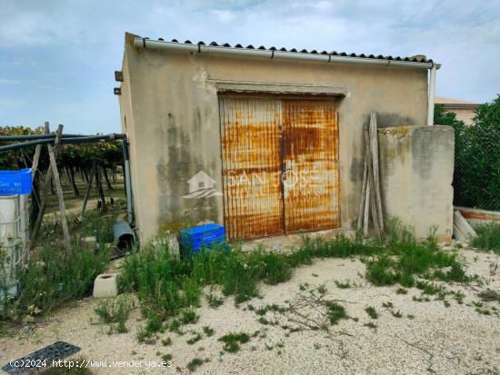  SE VENDE TERRENO CON CASA DE APEROS EN ASPE ZONA HUERTA MAYOR - ALICANTE 