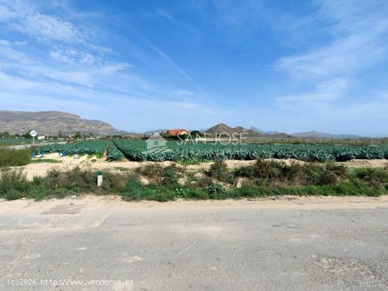 SE VENDE TERRENO RURAL EN MONFORTE DEL CID EN EL CAMINO SAN VICENTE - ALICANTE