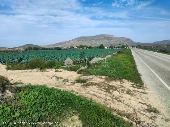  NUEVA PROPIEDAD SE VENDE TERRENO RURAL EN MONFORTE DEL CID EN EL CAMINO SAN VICENTE - ALICANTE 