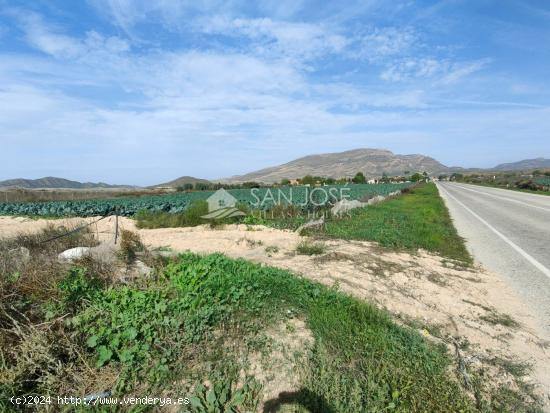 NUEVA PROPIEDAD SE VENDE TERRENO RURAL EN MONFORTE DEL CID EN EL CAMINO SAN VICENTE - ALICANTE