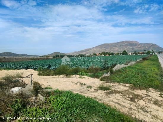 NUEVA PROPIEDAD SE VENDE TERRENO RURAL EN MONFORTE DEL CID EN EL CAMINO SAN VICENTE - ALICANTE