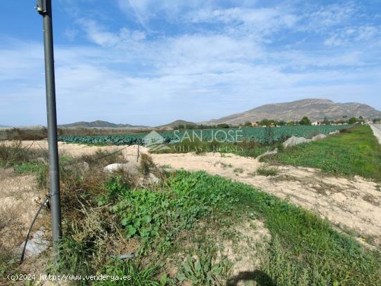 NUEVA PROPIEDAD SE VENDE TERRENO RURAL EN MONFORTE DEL CID EN EL CAMINO SAN VICENTE - ALICANTE