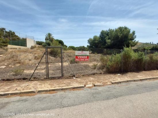  Se Vende en Elche pedanias - ALICANTE 