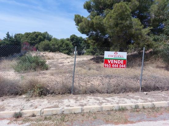 Se Vende en Elche pedanias - ALICANTE