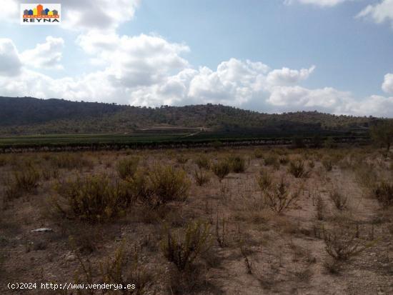 SE VENDE PARCELA RÚSTICA EN LAS AFUERAS DE ASPE IDEAL PARA ACTIVIDAD DE CULTIVO - ALICANTE